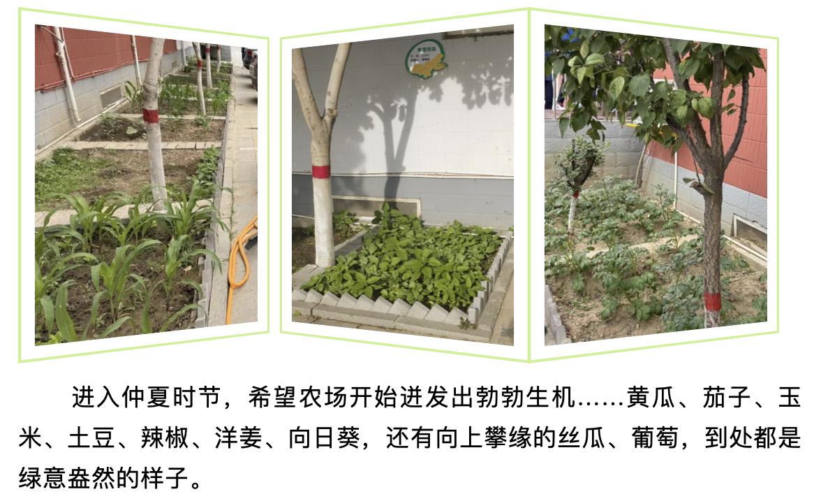 截屏2026-06-09 09.55.01.png